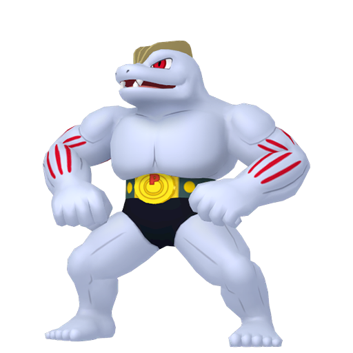 Foto do Machoke